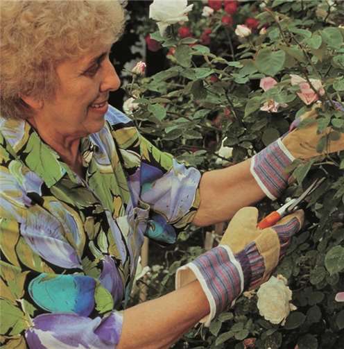 Häufig wechselnde Arbeiten im Garten helfen den Rücken zu entlasten.DSH
