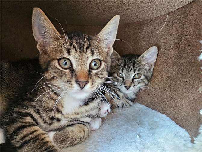 Hagen und Hans-Jürgen.