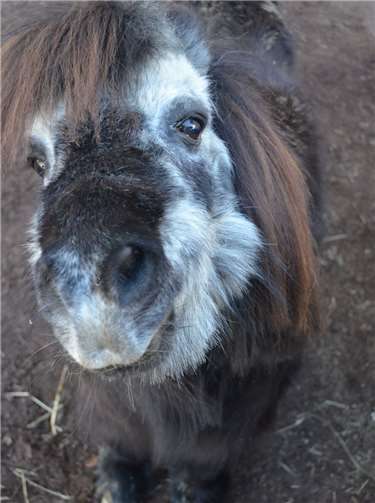 Hallo, ich bin Ernie.