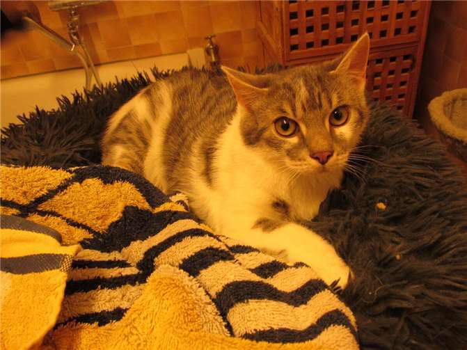 Hamid. Fotos: privat