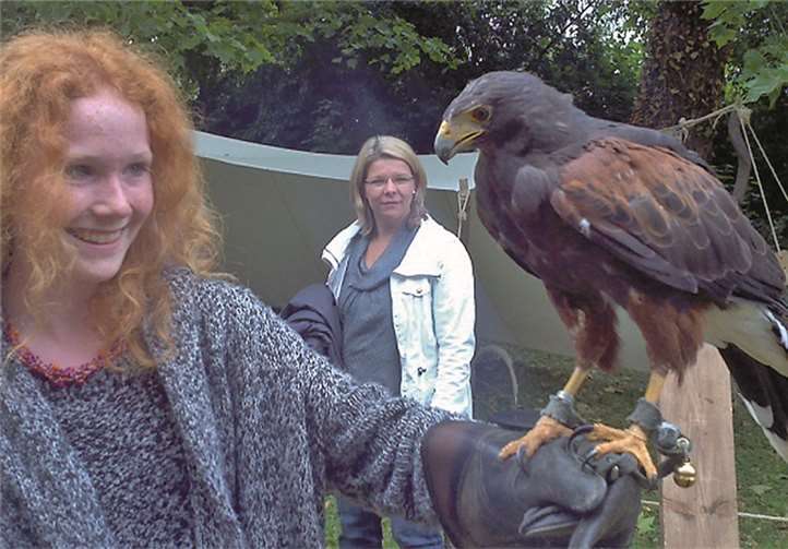 Hanna, der Wüstenbussard aus der Greifenscheune weiß die Besucher zu bezaubern. Greifenscheune