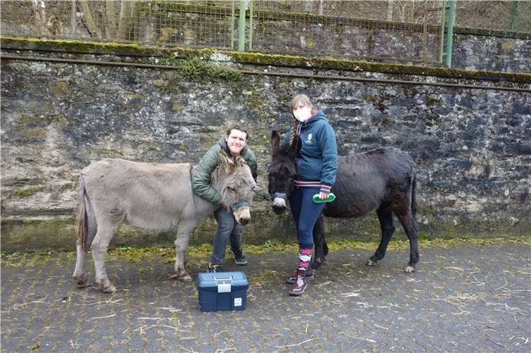 Tiere helfen beim Lernen Hannah Wirtz wird mit der tiergestützten Intervention das breite pädagogische Angebot in Kloster Ebernach ergänzen. Foto: privat