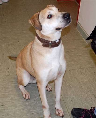 Hannes trägt einen ungarischen Chip. privat