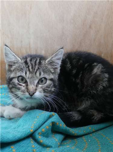 Hannilore, EKH, weiblich