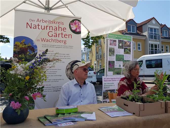 Hans-Georg Levin und Roswitha Schönwitz präsentieren den „Naturnahen Schaugarten“ auf dem „Klimatag“ 2023 in Rheinbach. Foto: AK Naturnaher Schaugarten