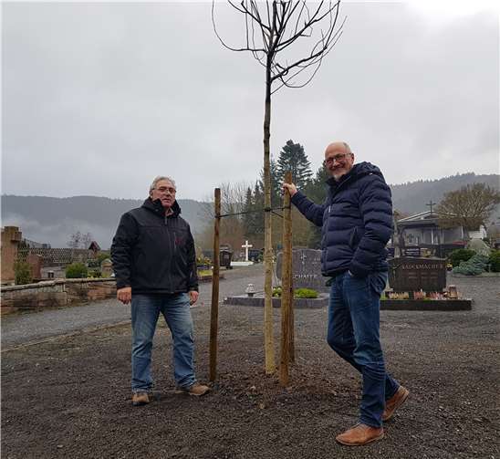 Hans- Josef Weber und Ortsbürgermeister Jürgen Schwarzmann bei der Pflanzung des Ehrenbaumes 2019.Fotos: privat