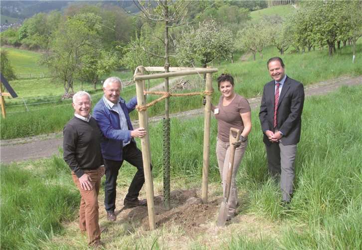 Hans-Peter Job (v.l.n.r.), Achim Hallerbach, Kordula Honnef und Ottmar Reinhold bei der Pflanzung der Traubeneiche. privat