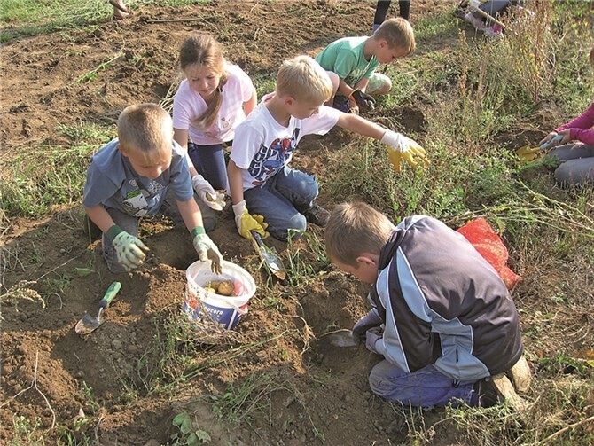 Harte Arbeit, die trotzdem Spaß macht. So nahmen die Kinder die Kartoffelernte war. privat