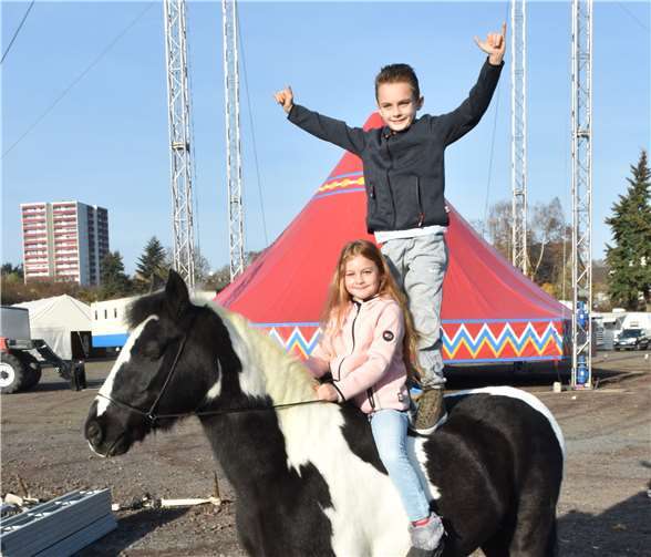 Hauptdarsteller sind Alfons undAngel Wille sowie das Pferd Kleiner Donner