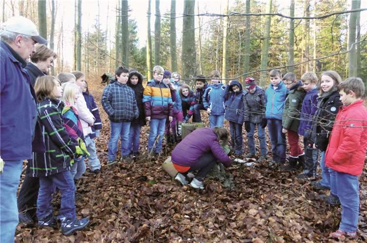 "Hausputz" war angesagt bei den Nistkästen im Wald. privat