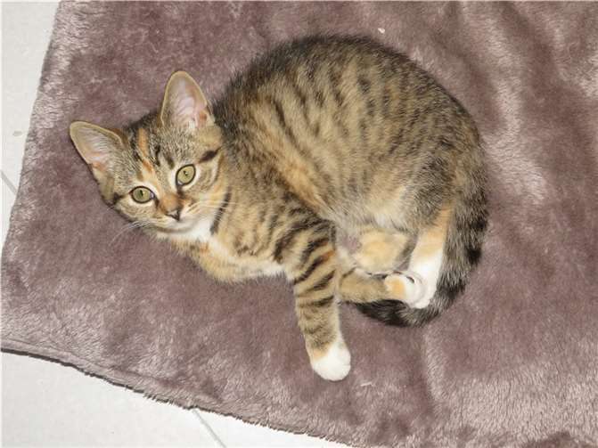 Heather. Fotos: privat