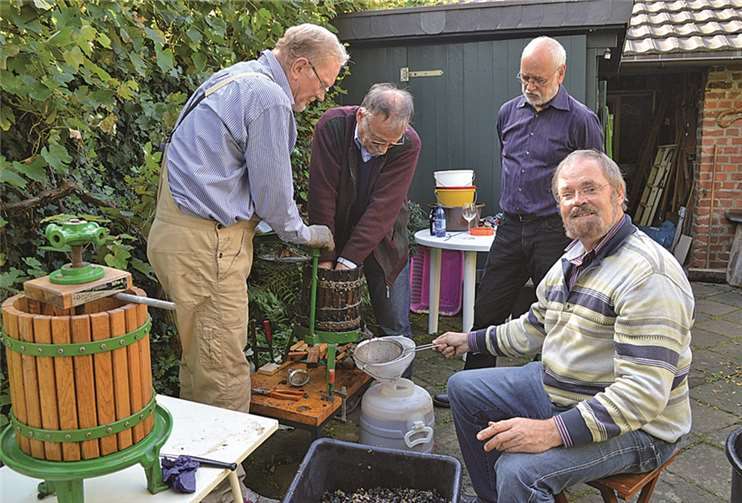 Heinz Willms und seine Freunde bei der Verarbeitung der herrlichen Muskatellertraube im Oberwinterer Holzweg.AB