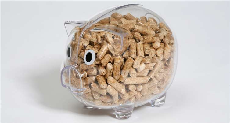 Heizen wird ab Januar 20021 durch die CO2-Steuer deutlich teurer.Foto: privat