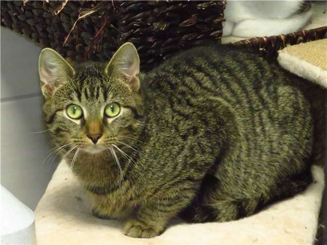 Helmut. Fotos: privat