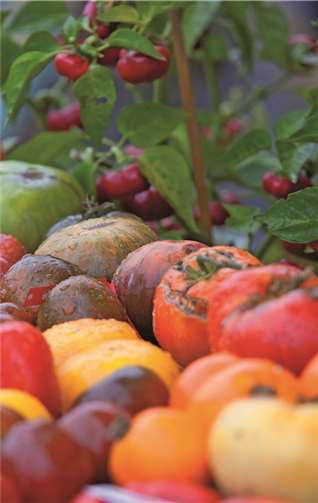 Herbstfarben dominieren das Angebot.