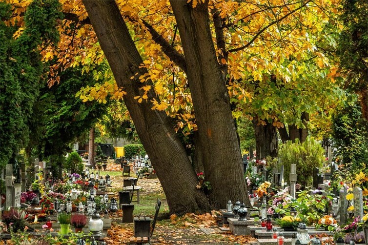 Herbstlicher Friedhof (©SHOX ART- Pexel)
