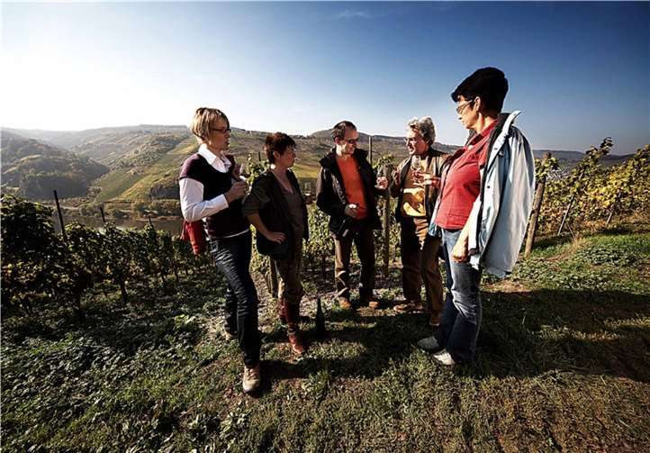 Herbstwanderung im Ferienland Cochem.Foto: Tourist-Info Ferienland Cochem