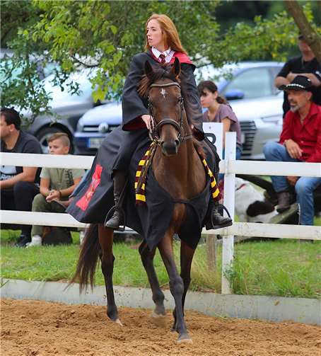 Country meets Kölsch: Reitsport vom Feinsten, Colör auf die Ohren! Hermine Granger in Mayen-Hausen? Nicht ganz! Aber auch das Showprogramm mit Themen von „Harry Potter“ bis „Games of Thrones“ begeisterte.