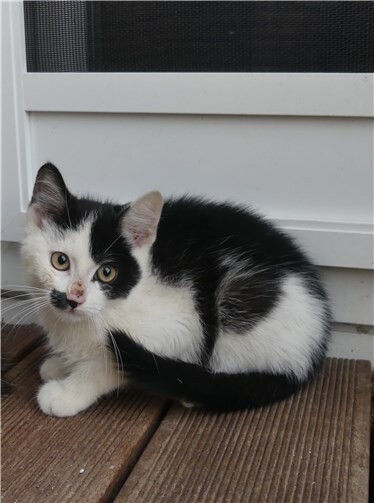 Herr Horst, EKH, männlich