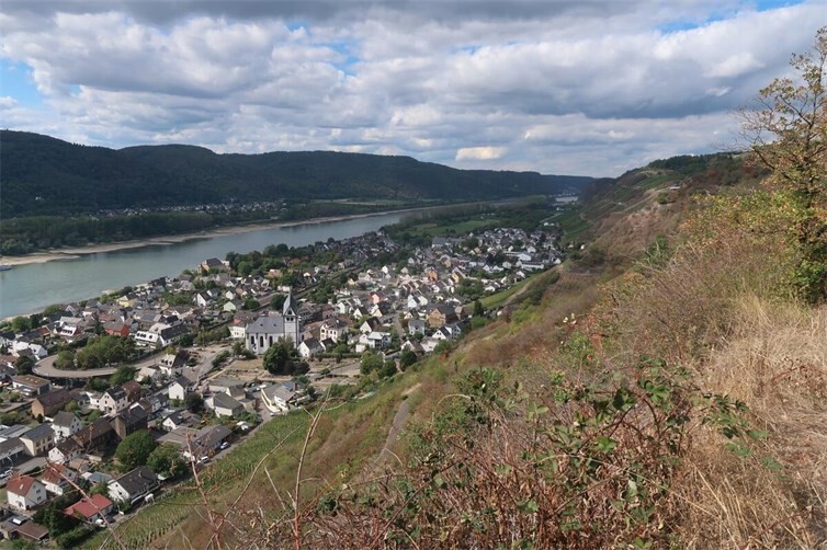 Herrliche Ausblicke auf Leutesdorf vom „Sonnenweg“ aus.