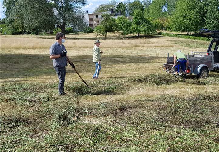 Heumulchen auf dem Gelände des Berufsförderungswerkes – das Mähgut einer wildblumenreichen Wiese wird auf neue Flächen übertragen. Hierdurch werden die Wildblumensamen verbreitet. Foto: Kreis MYK