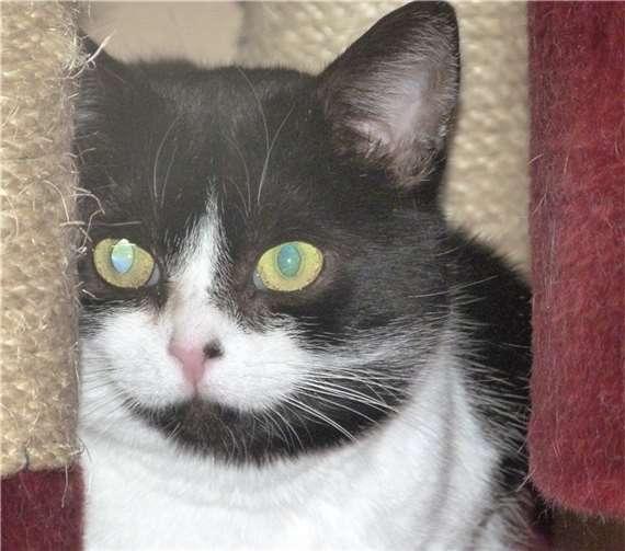 Hexe mag soziale Kontakte. privat