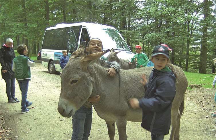 Hichem und Jana schmusen mit einem Esel im Wild- und Erlebnispark in Daun in der Eifel.privat