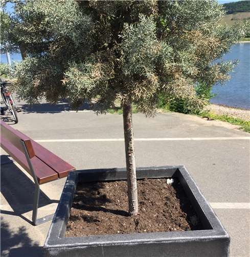 Hier besteht dagegen noch Handlungsbedarf.