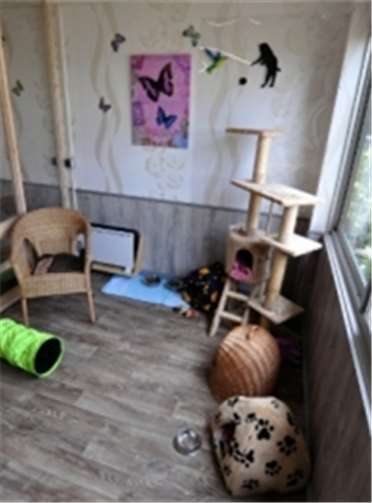 Hier fühlen sich Katze und Kater wohl.Katzenhotel