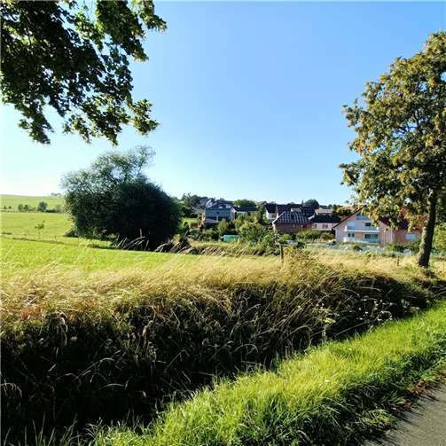 Hier ist der Supermarkt geplant.  Foto: Deborah Rupprecht