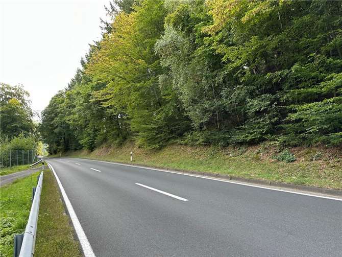 Hier ist die (Straßen-)Welt noch in Ordnung: In der Nähe von Ahrweiler wird die L83 allerdings immer mehr zur Buckelpiste - vor allem in den Kurvenbereichen. Foto: ROB