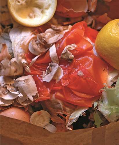 Hier ist jede Menge Energie drin: Bioabfall ist nicht nur ein wertvoller Rohstoff für Kompost, sondern exzellent für die Erzeugung von Strom und Wärme geeignet. Mestrovic/Fotolia