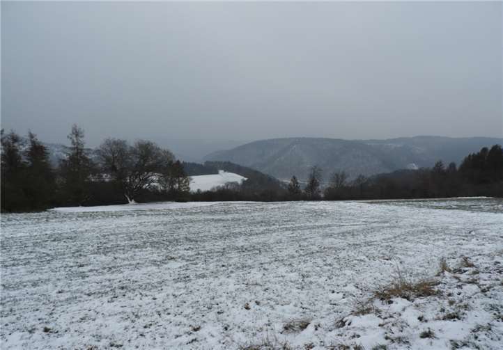 Hier könnten z.B. neue Häuser für Bad Emser Familien entstehen.