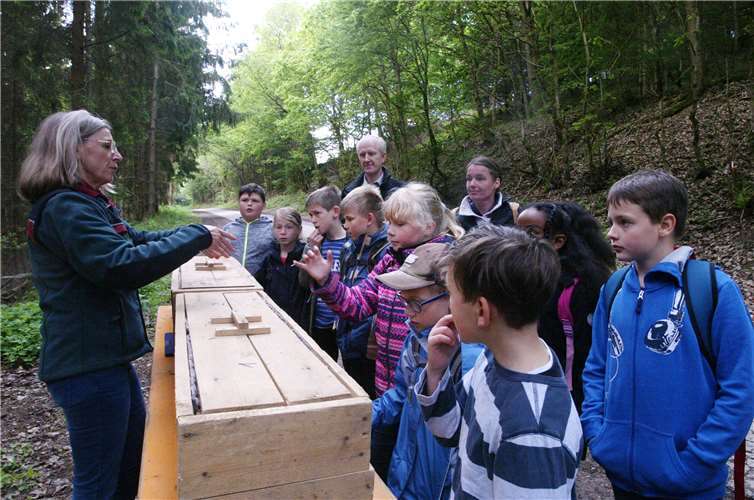 Hier musste ertastet werden, was sich in der Kiste befindet.Fotos: SES