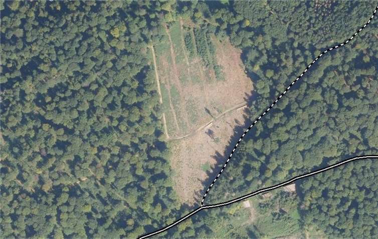 Hier soll der Bad Hönninger Bürgerwald entstehen.  Quelle: Stadt Bad Hönningen