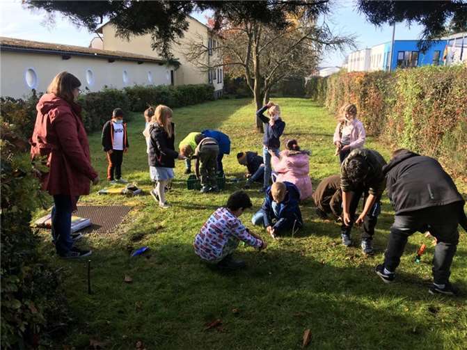 Hier wurden Blumenzwiebeln gepflanzt.Foto: privat