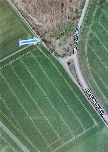 Hier wurden die Schlangen gefunden.