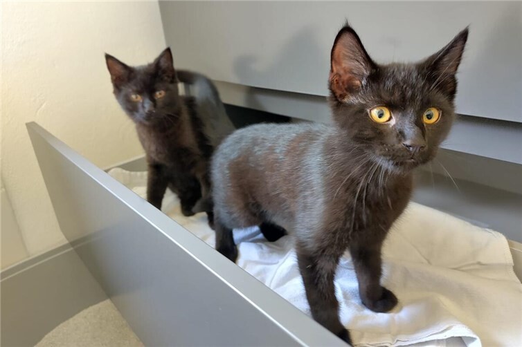 Hilda rechts, Henry links