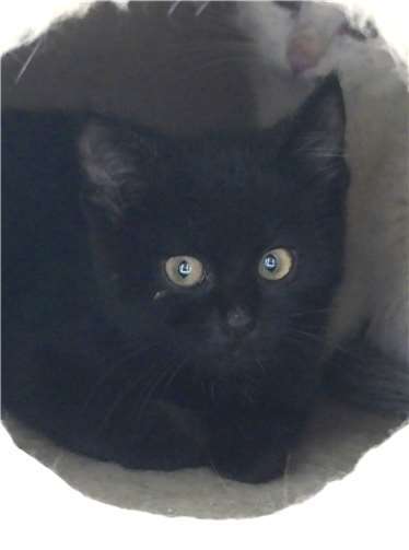 Hilde, EKH, weiblich