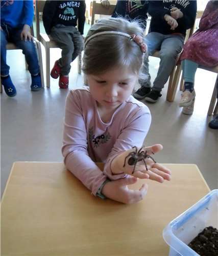 Hingucker in der Kita Löwenzahn: die Spinne Gisela. Foto: Stadt Meckenheim