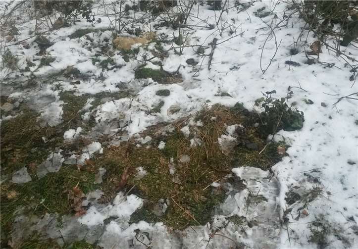 Hinter der „Häschenwiese“ in Melsbach wurde eine undefinierbare gefährliche Masse gefunden. Fotos: Polizei