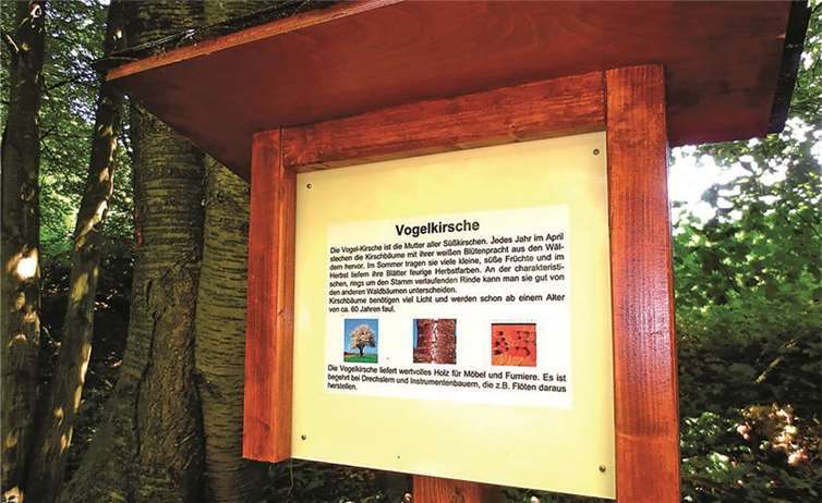 Hinweistafeln, wie die der Vogelkirsche, informieren Wanderer.privat