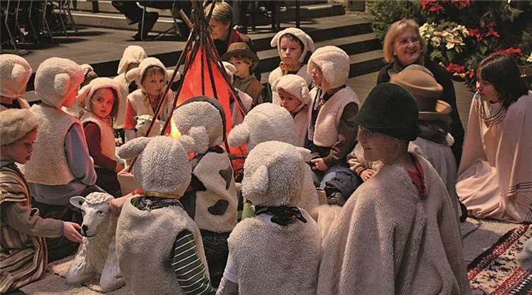 Hirten auf dem Feld.