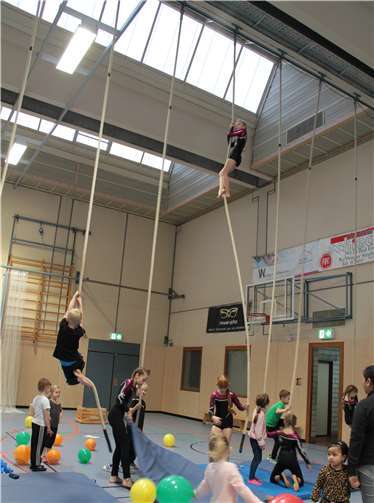 Hoch hinaus ging es am Seil.