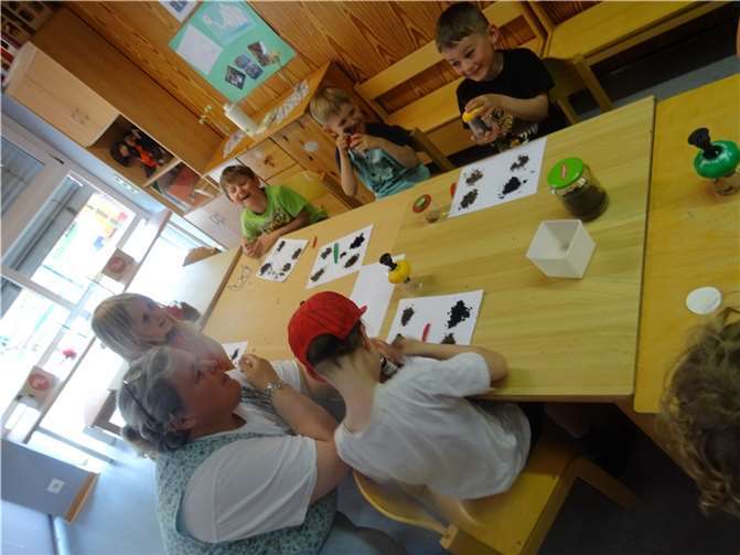 Hoch konzentriert wurde Erde mit Pinzetten und Lupen untersucht.  Quelle: VG Puderbach