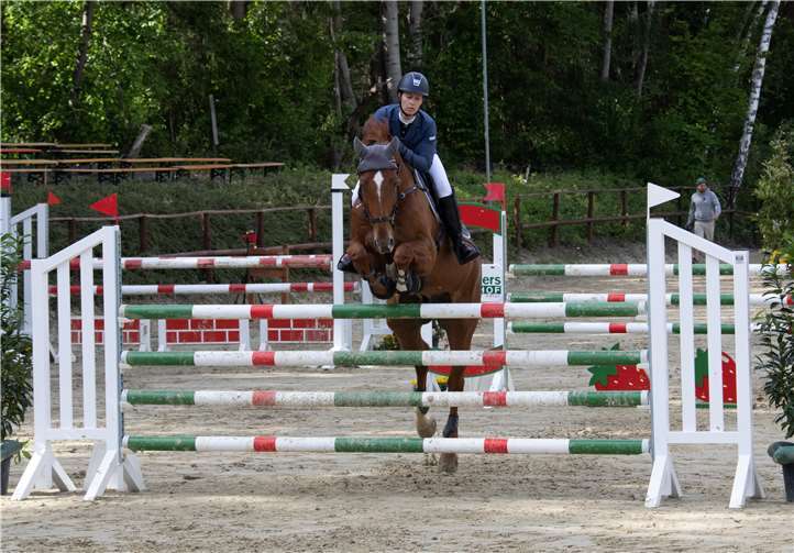 Hochkonzentriert setzen die Reiter mit den Pferden über die Hindernisse.