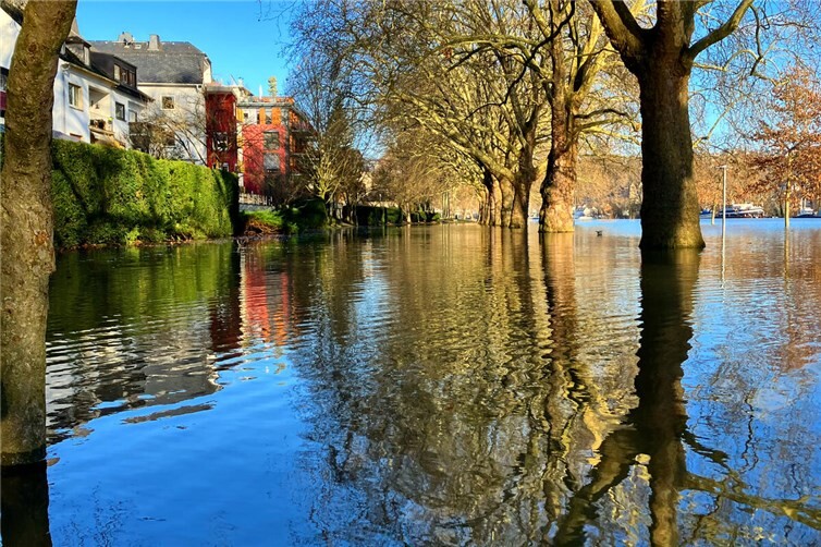 Hochwasser im Januar 2025 in den Kaiserin-Augusta-Anlagen; die tiefwurzelnden alten Platanen sichern auch das städtische Rheinufer.