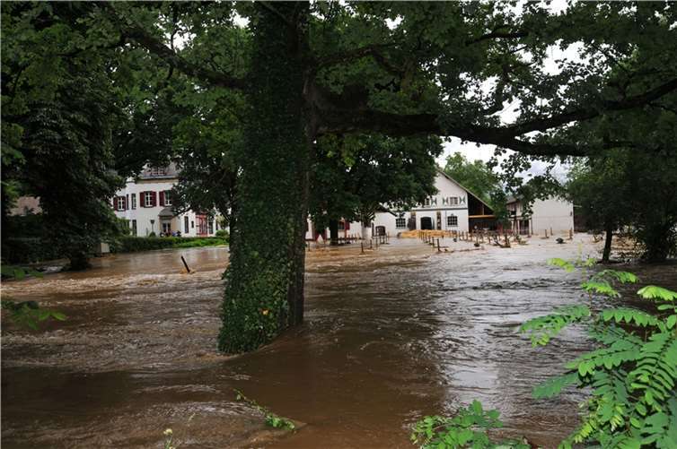 Hochwasser in Miesenheim. Fotos: Christoph Maurer