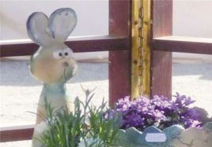 Ein Erlebnis für die ganze Familie 