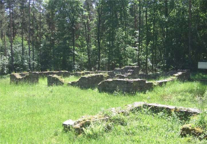 Höhepunkt der Wanderung ist eine Führung durch die römische Siedlung im Ahrweiler Wald.Foto: Museum Roemervilla